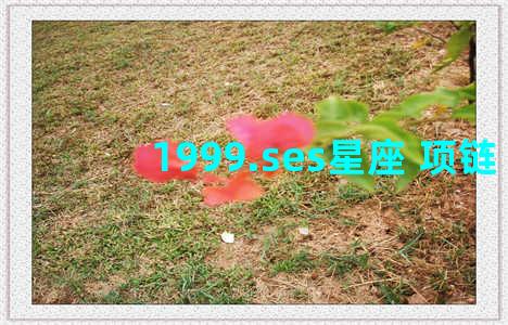 1999.ses星座 项链